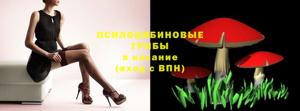 СК Алексеевка