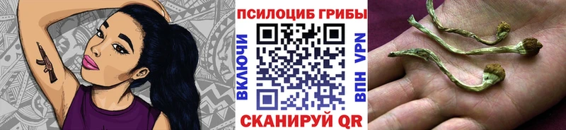кракен рабочий сайт  Первоуральск  Галлюциногенные грибы мухоморы 