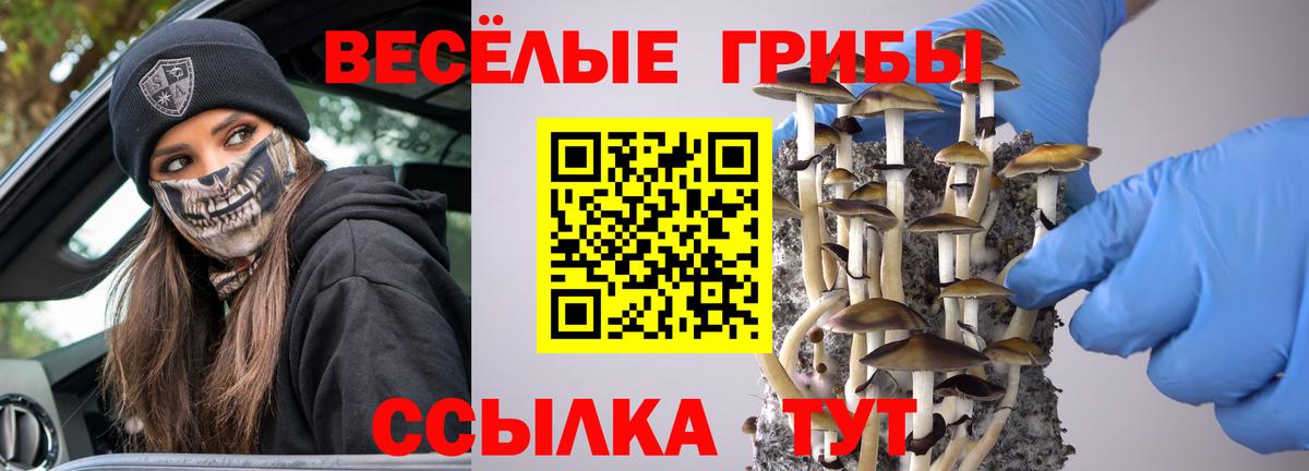 Псилоцибиновые грибы мухоморы  Вход с VPN  Первоуральск 